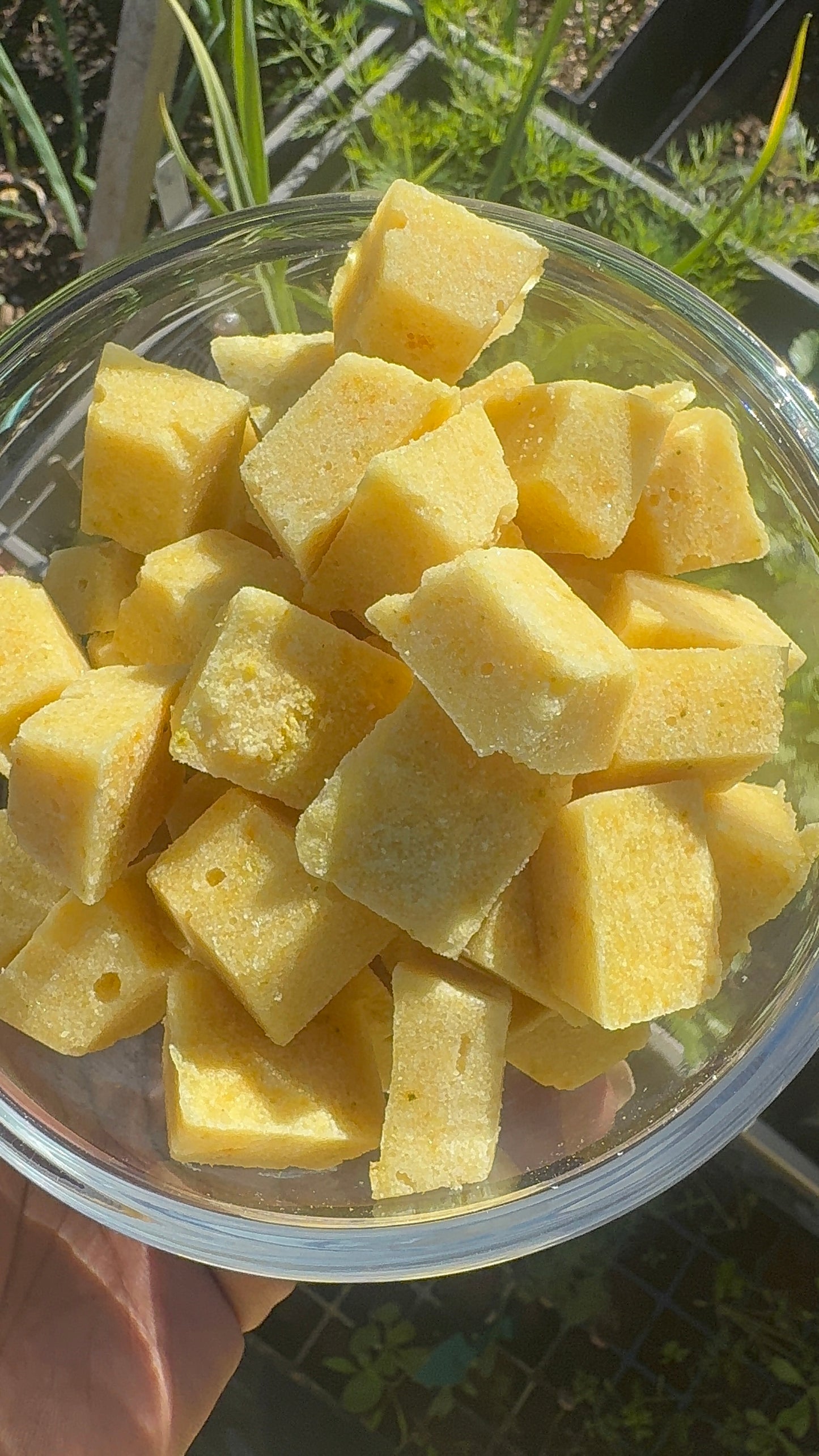 Citrus Burst Dishwasher pods