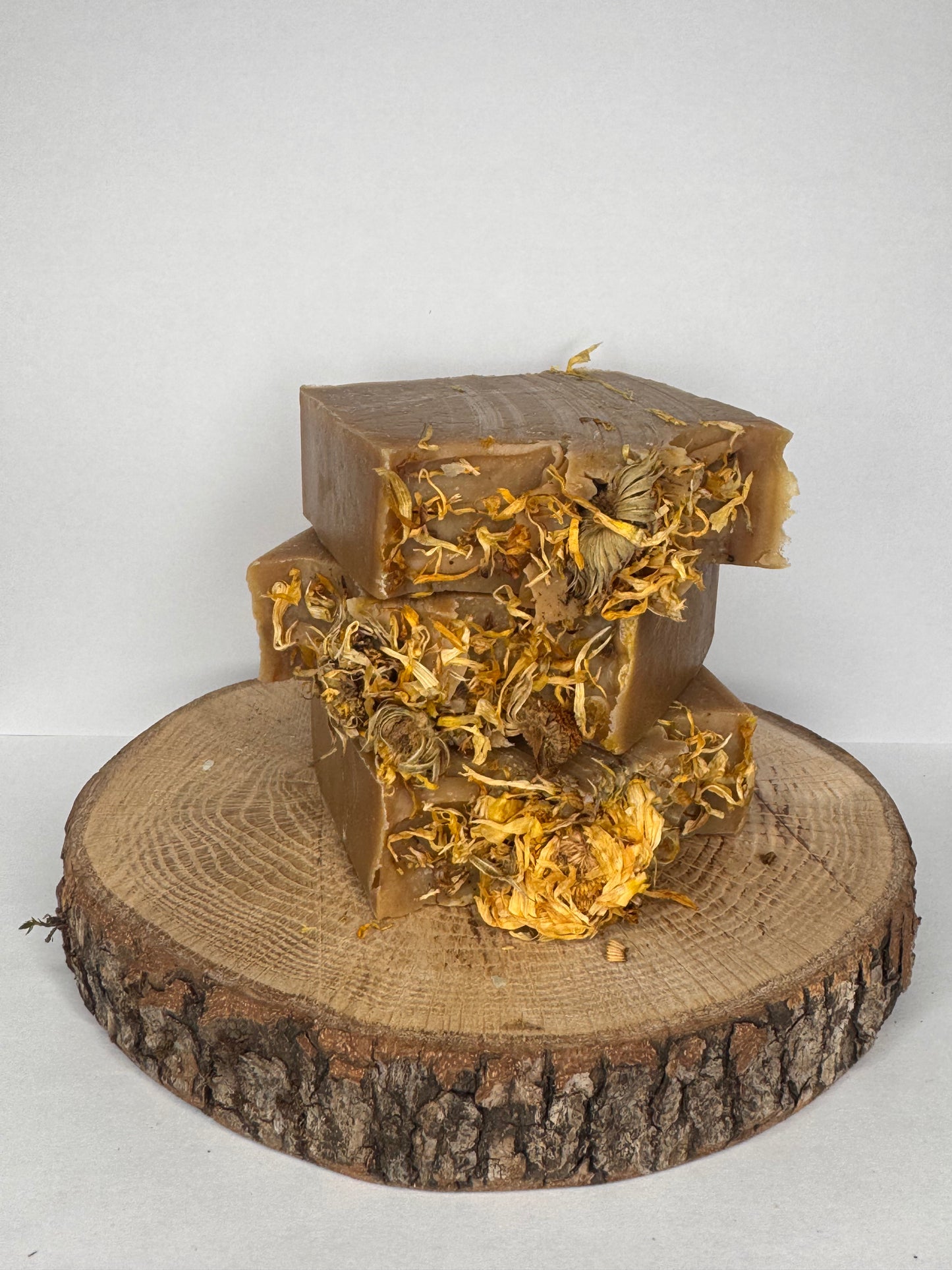 Autum Cashmere Calendula