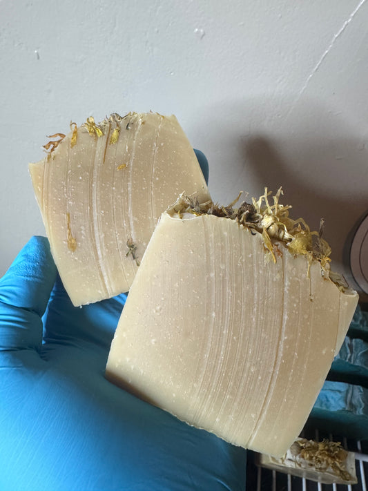 Autum Cashmere Calendula